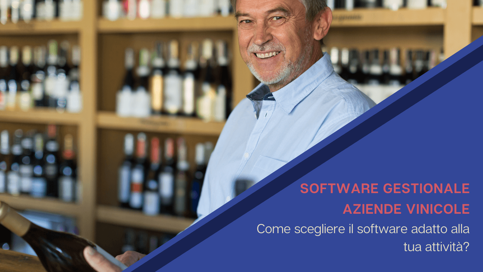 Software gestionale aziende vinicole: come scegliere un software adatto alla tua attività?