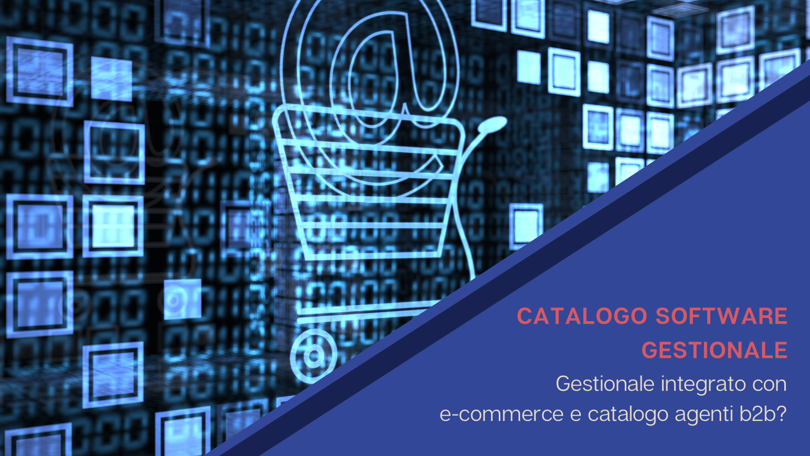 Catalogo software gestionale: come integrarlo con e-commerce e catalogo agenti B2B