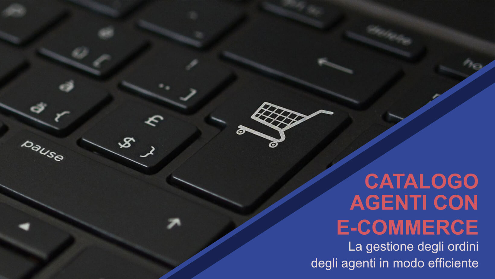 App per la gestione degli ordini su e-commerce per gli agenti di commercio