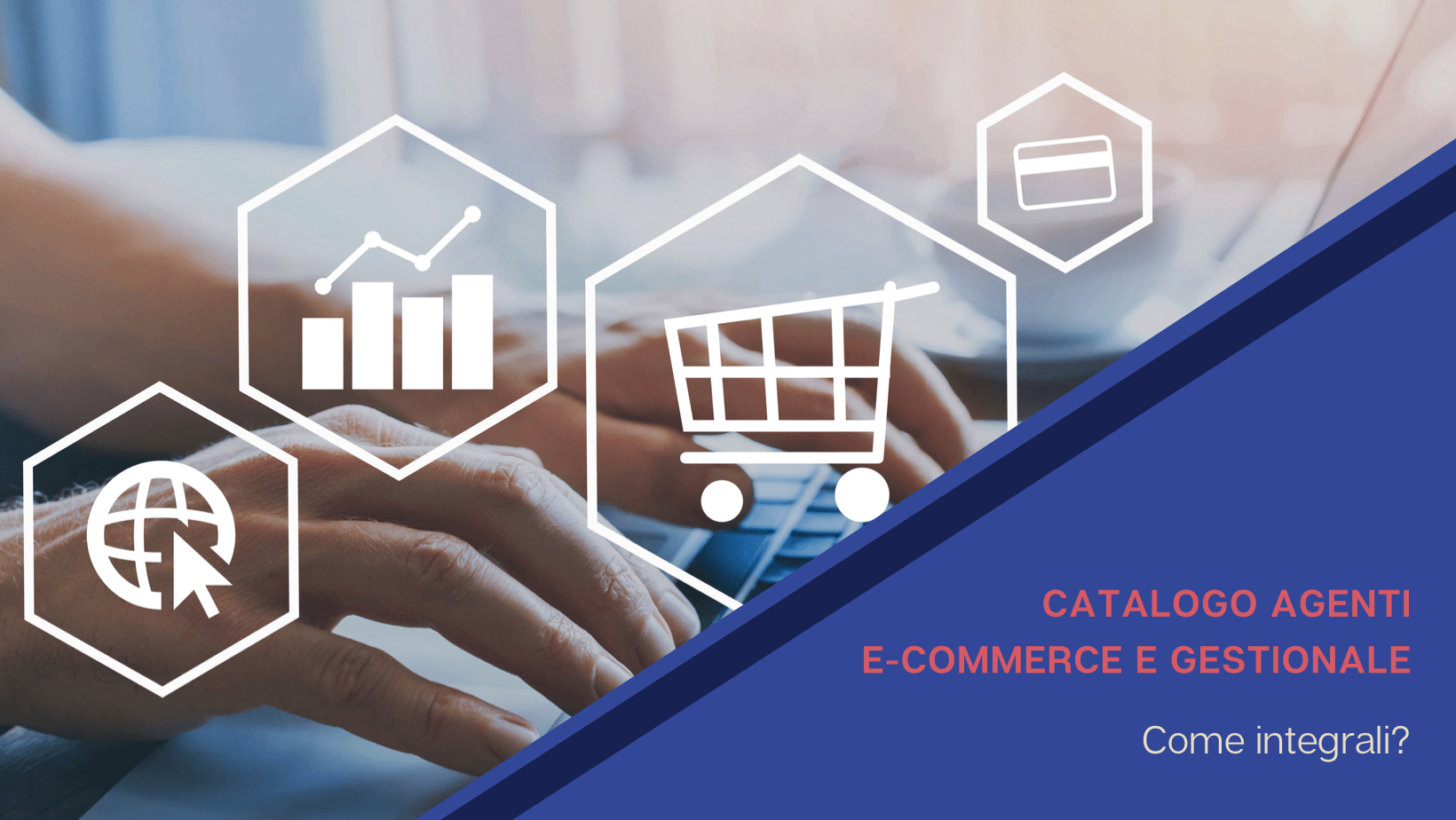 Catalogo agenti con e-commerce e gestionale: come integrarli?